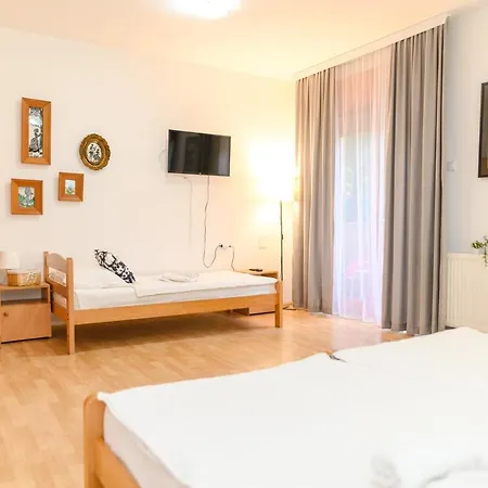 Apartment Milovanovic Sokobanja